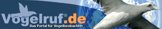 Das Portal für Vogelbeobachter  Ornithologen -  Vogelbeobachtung im Internet