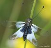 Entdeckungen in der Natur Südeuropas Teil 1