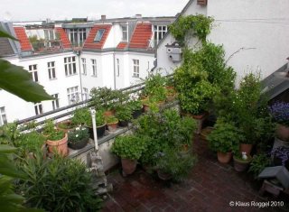 Dachterrasse im Mai