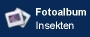 Start der Diaschau: 4 Insekten