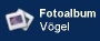 Start der Diaschau: 3 V&ouml;gel